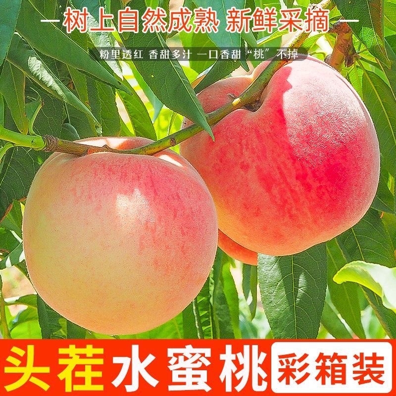 水蜜桃，产地一手现货，量大价优，支持视频看货