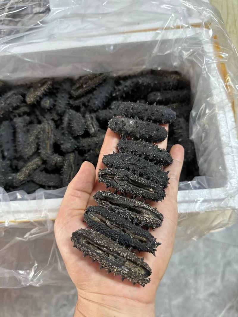 开口淡干辽参一德路批发商