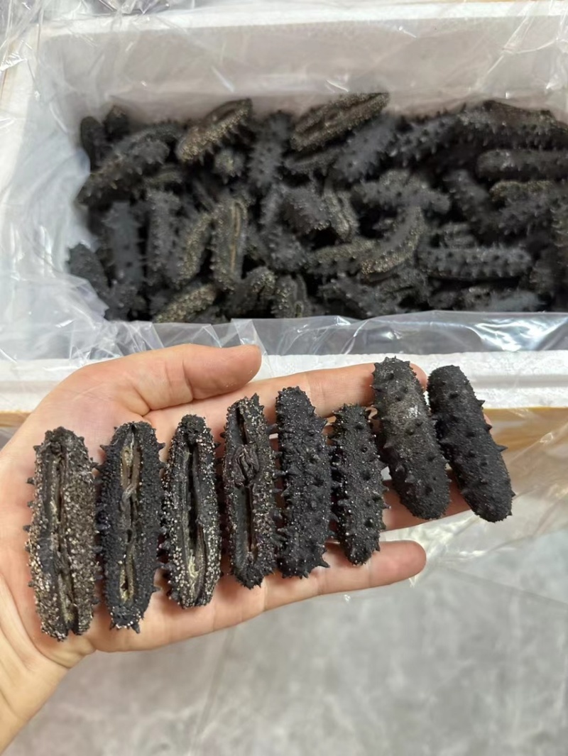 开口淡干辽参一德路批发商