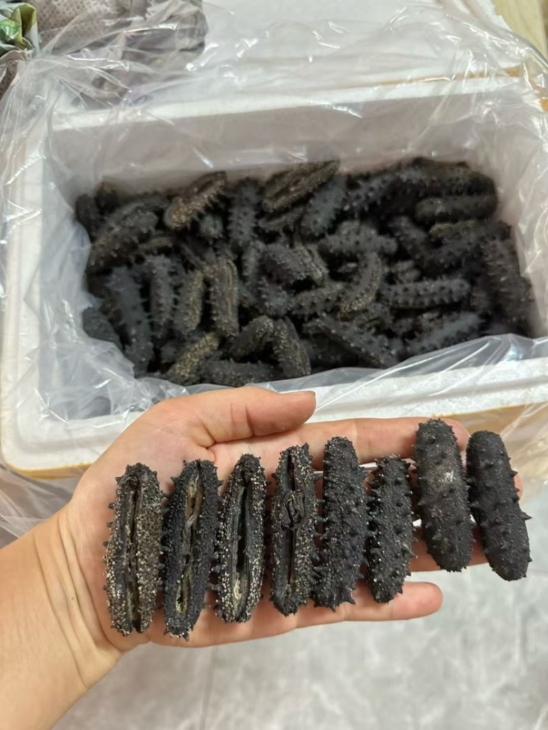 开口淡干辽参一德路批发商