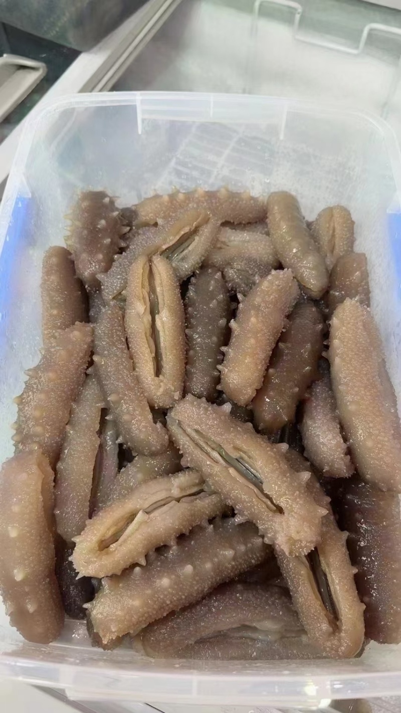 开口淡干辽参一德路批发商