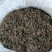 英红九号红茶