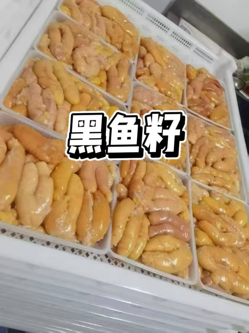 云冻食材黑鱼籽，规格1kg×12盒/件