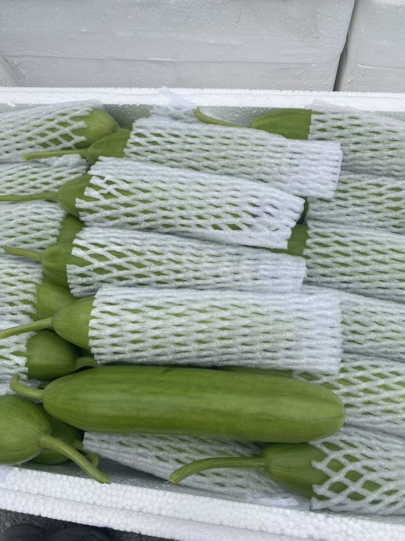 奶油小黄瓜奶油黄瓜水果黄瓜新鲜采摘产地直达