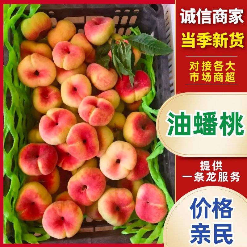 蟠桃油蟠桃陆地开口笑上市中！欢迎全国客商骚扰！适合板车大军