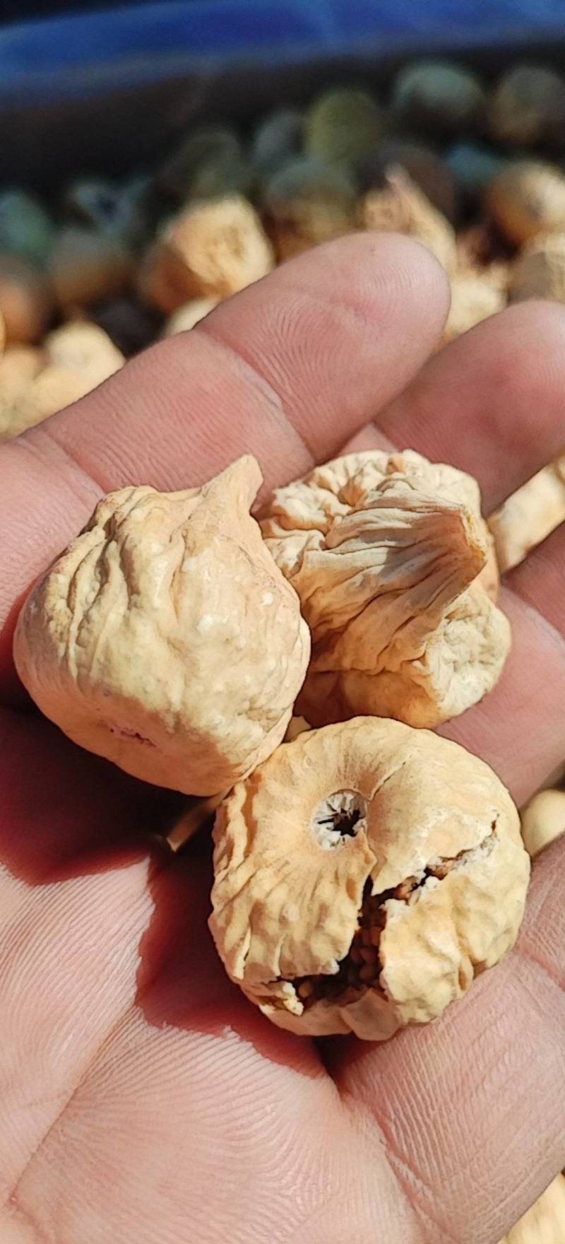 新疆无花果干没添加剂原味果干树上糖包子包邮批发