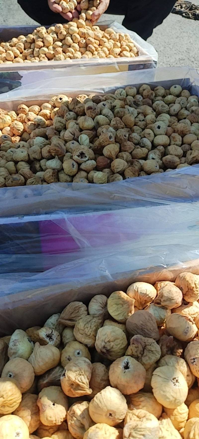 新疆无花果干没添加剂原味果干树上糖包子包邮批发