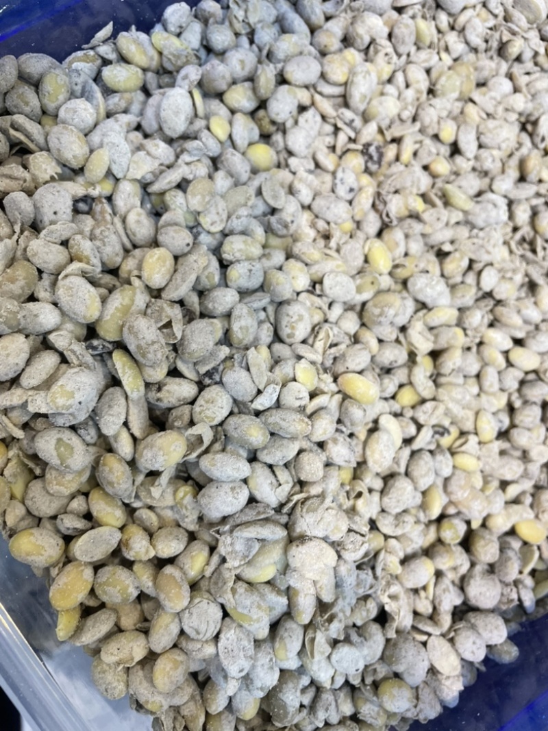 发酵大豆（添加益生菌，作物用后品质好，口感好，卖价高）