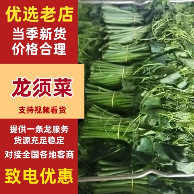 龙须菜，佛手瓜尖，发量上市，产地直发，量大从优