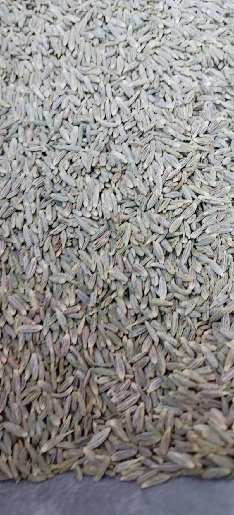 新疆吐鲁番孜然原味散装新货包邮批发
