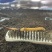 冬虫夏草大量批发