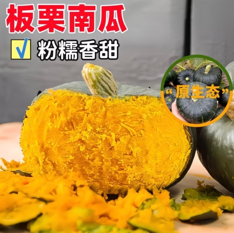 特级板栗南瓜新鲜上市供应全国商超档口饭店