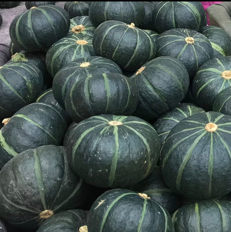 特级板栗南瓜新鲜上市供应全国商超档口饭店
