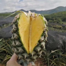 凤梨