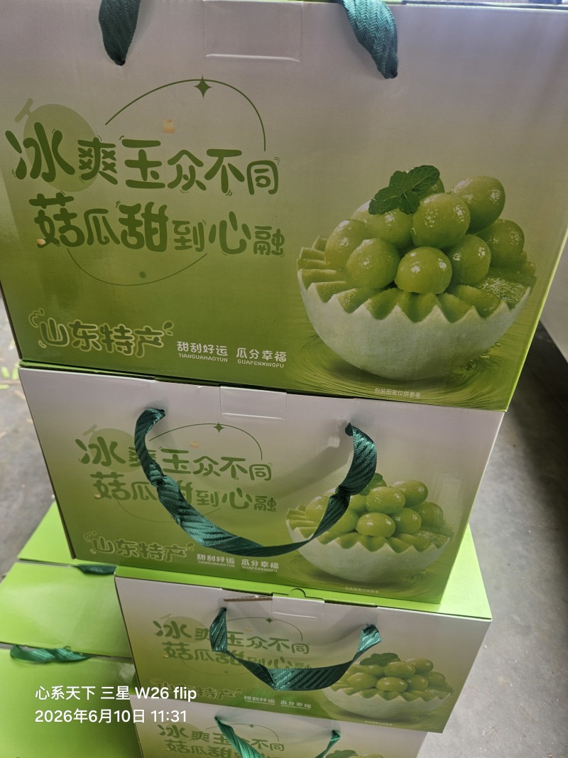 山东玉菇冰激凌甜瓜产地，全国发货，直供商超市场，一件代发