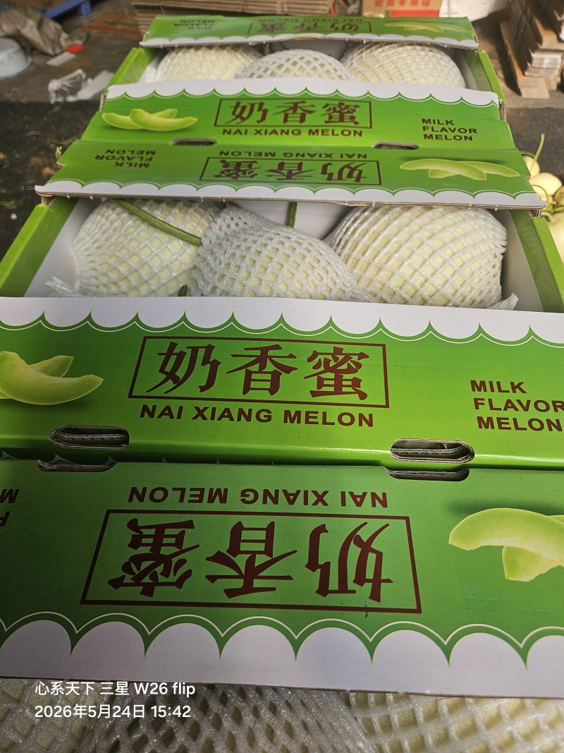 山东玉菇冰激凌甜瓜产地，全国发货，直供商超市场，一件代发