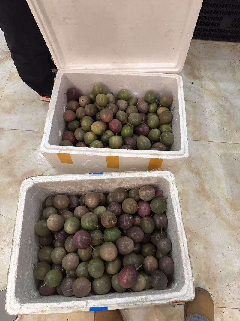 台农百香果，市场货次果电商都有