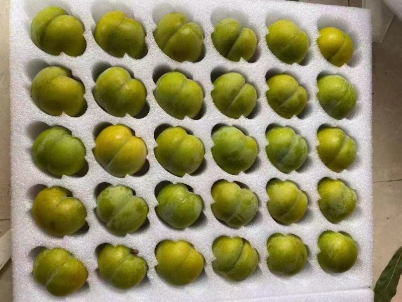 蜂糖李，一手货源，规格齐全，保质保量，电联价格可谈