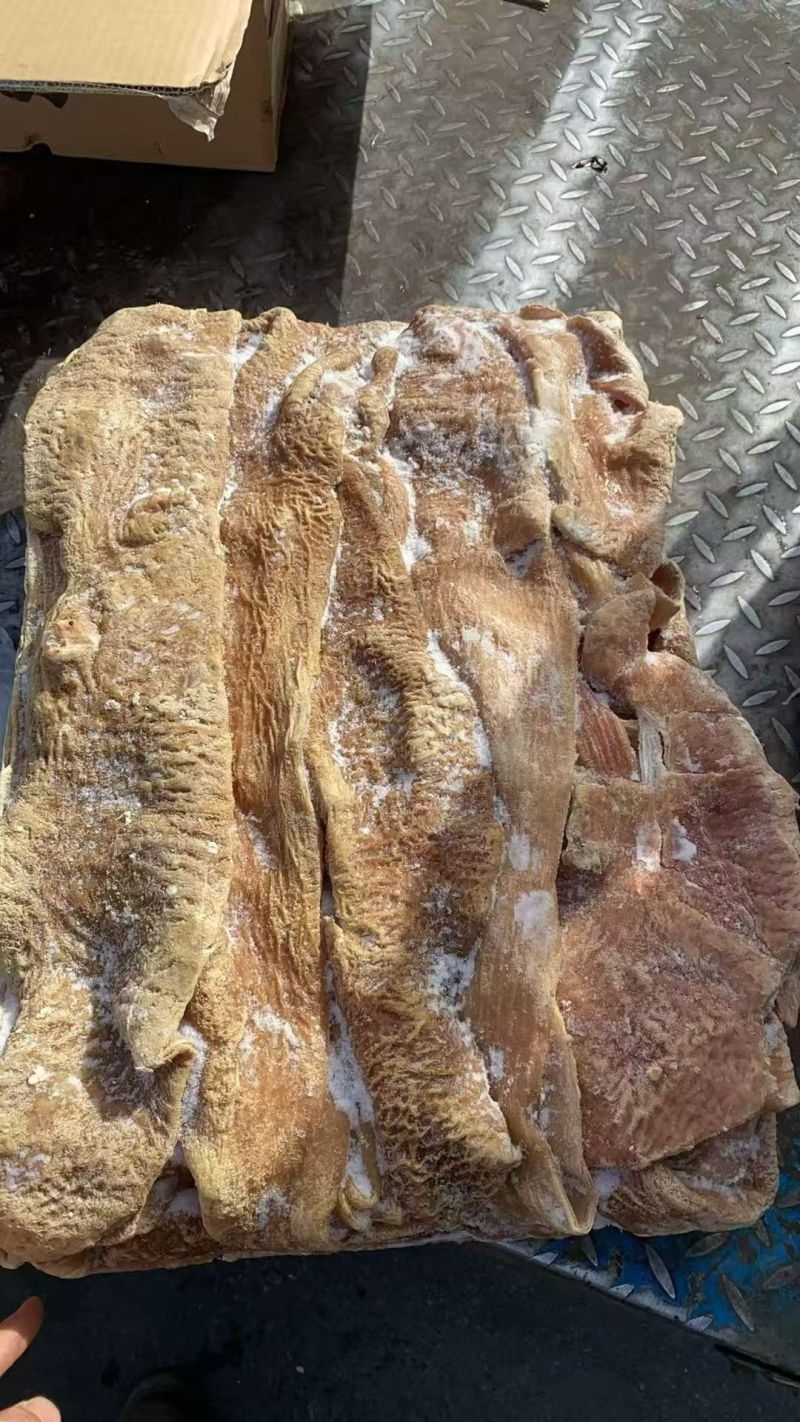 牛大肠，抛开去油干净，公牛育肥的，质量保证，货源稳定。