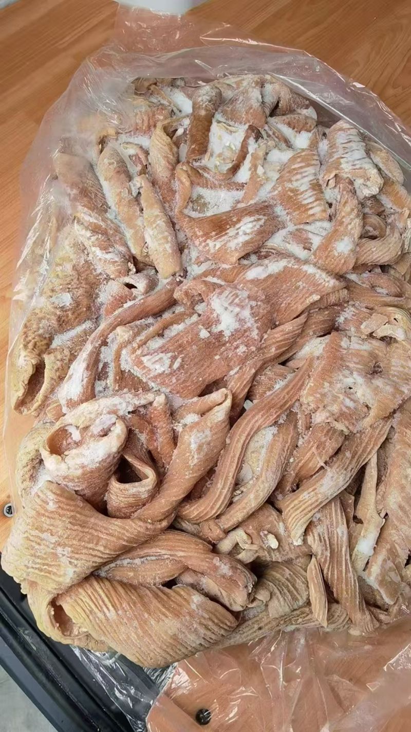 牛大肠，抛开去油干净，公牛育肥的，质量保证，货源稳定。