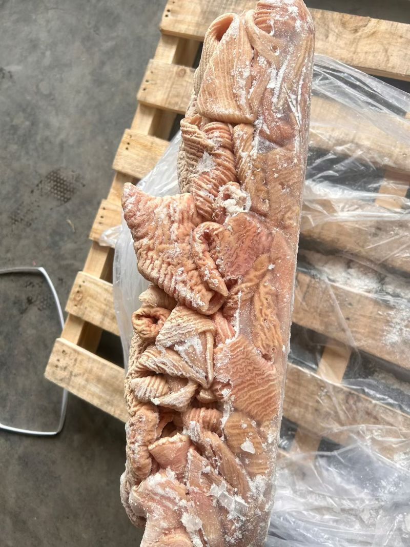 牛大肠，抛开去油干净，公牛育肥的，质量保证，货源稳定。