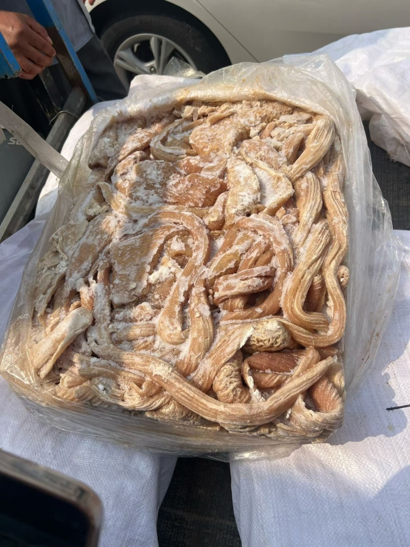 牛大肠，抛开去油干净，公牛育肥的，质量保证，货源稳定。