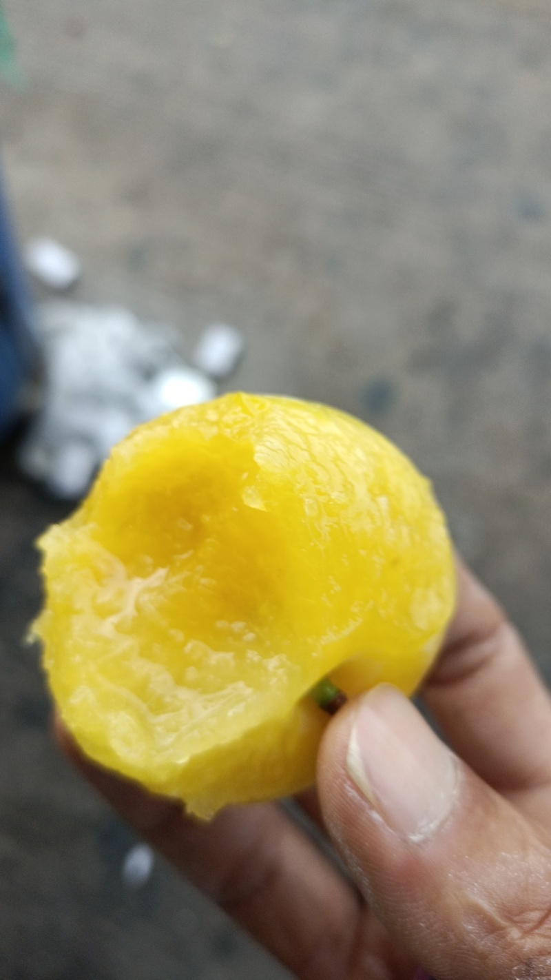 桃花李