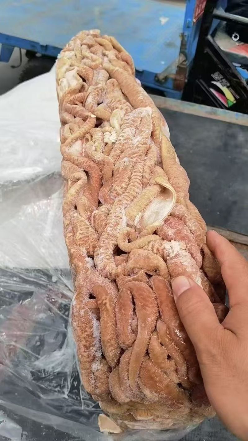 牛小肠，全部抛开去油，质量保证，货源稳定，质量看得见实拍