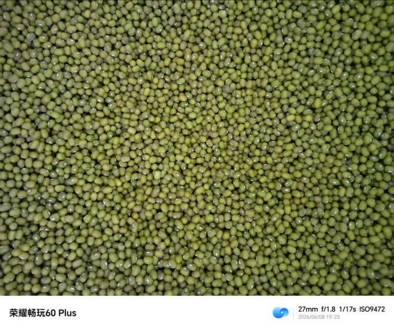 芽绿豆绿豆芽专用产地直发袋装50斤产地直发