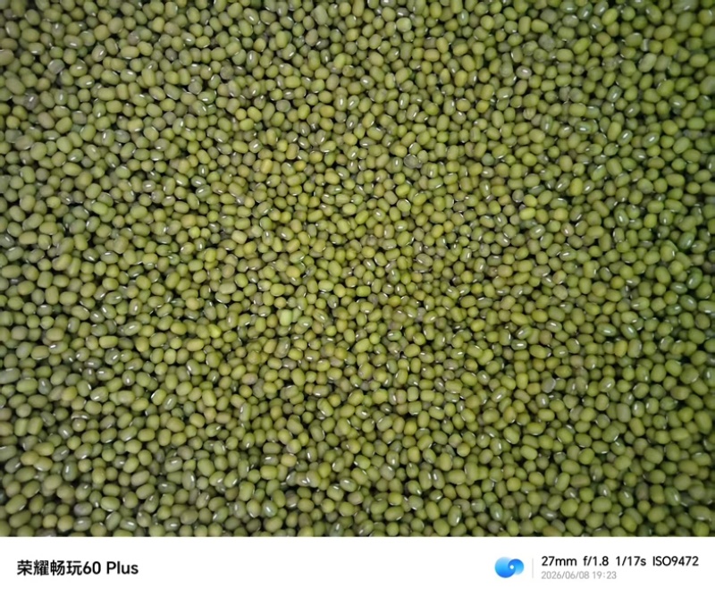 芽绿豆绿豆芽专用产地直发袋装50斤产地直发