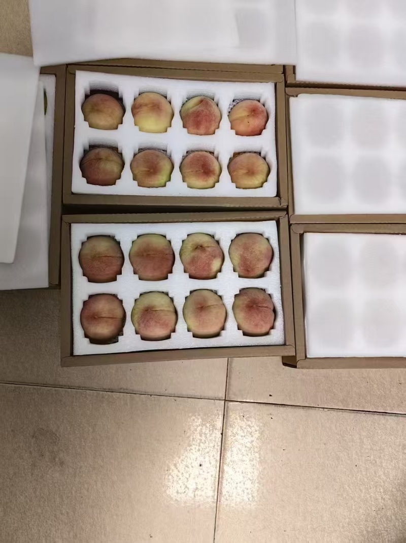 无锡阳山水蜜桃一手货源精品装，礼品装，零卖