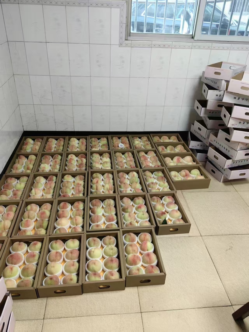 无锡阳山水蜜桃一手货源精品装，礼品装，零卖