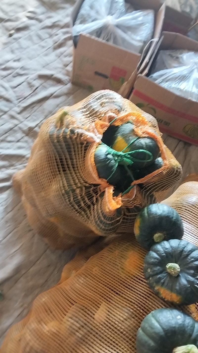 贝贝南瓜，支持电商，市场，社区团够，爆粉香甜，全国发货。