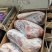 牛肉牛腱牛肩胛牛脖肉牛霖牛针扒大米龙