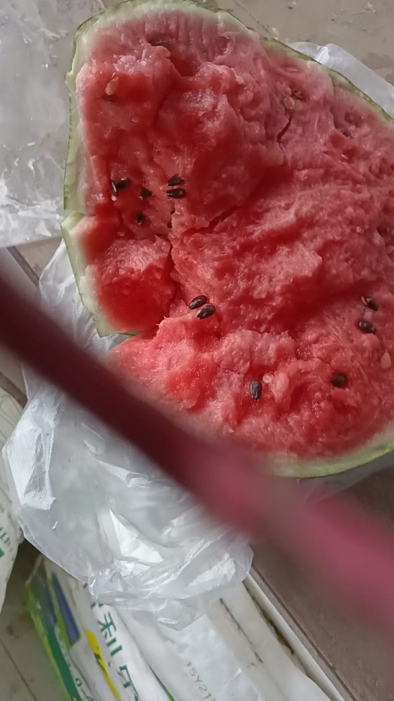 锦王西瓜，一万两千斤，又红又甜，有需要的老板联系我吧，地