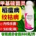 甲基硫菌灵杀菌剂500克/升稻瘟病纹枯病