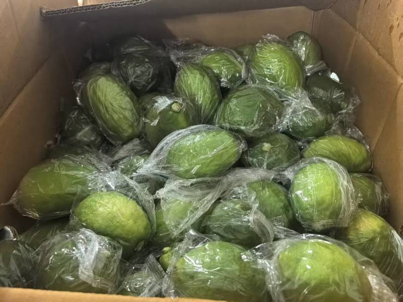 广东香水柠檬，电商一件代发，价格美丽，欢迎来电洽谈合作。