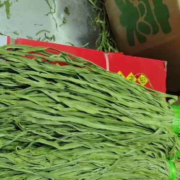 贡菜干条