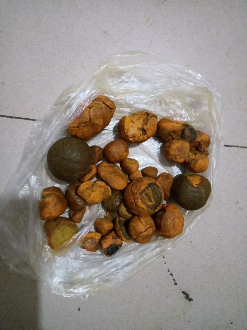 天然牛黄