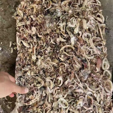 鱿鱼边角料