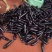 ｛特卖｝贵州茄子🍆精品烧烤茄产地直发保质保量全国供货