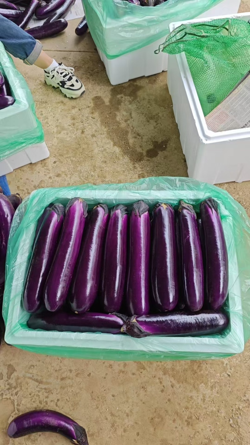 贵州烧烤茄子上市了