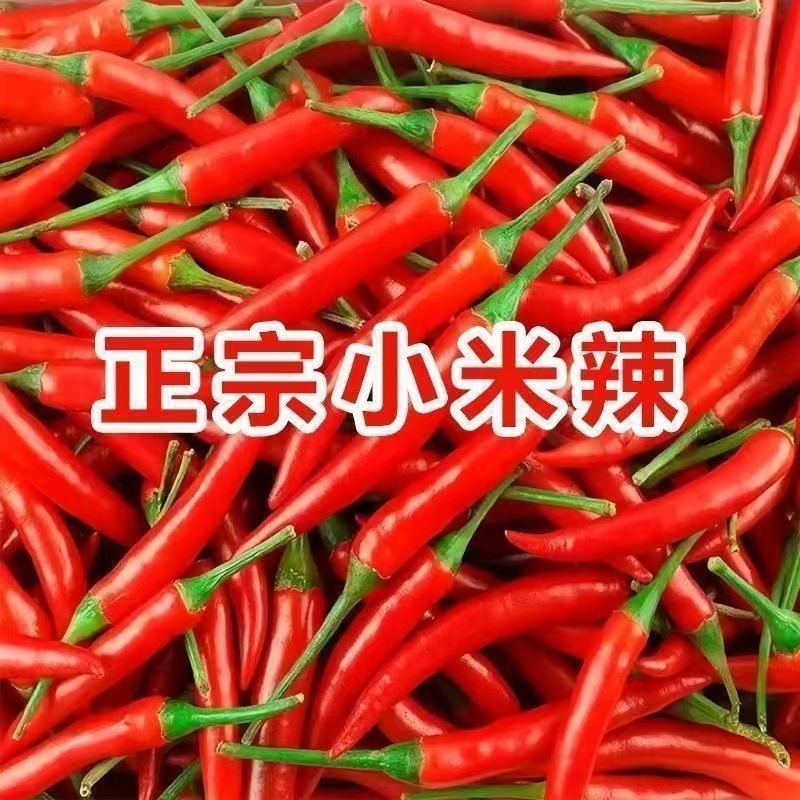 山东菏泽小米辣产地直发，量大从优，还有来电。