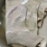水退公黄牛皮