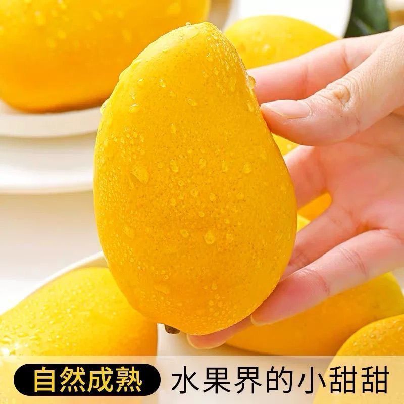 广西台农芒果大量上市中支持线上线下一件代发