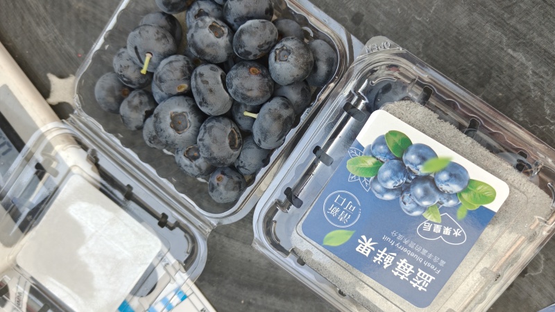 蓝莓