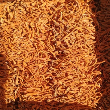 厢排草