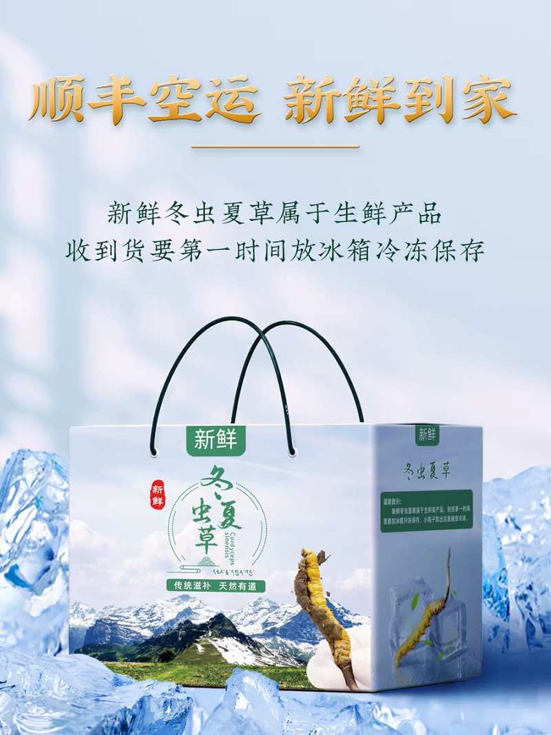 高海拔冬虫夏草鲜草2026新鲜虫草西藏虫草高海拔采挖直销