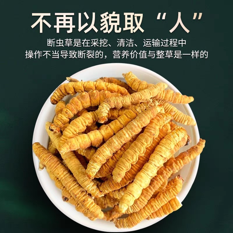 （低价断虫草）冬虫夏草正品西藏那曲虫草批发干虫草大节