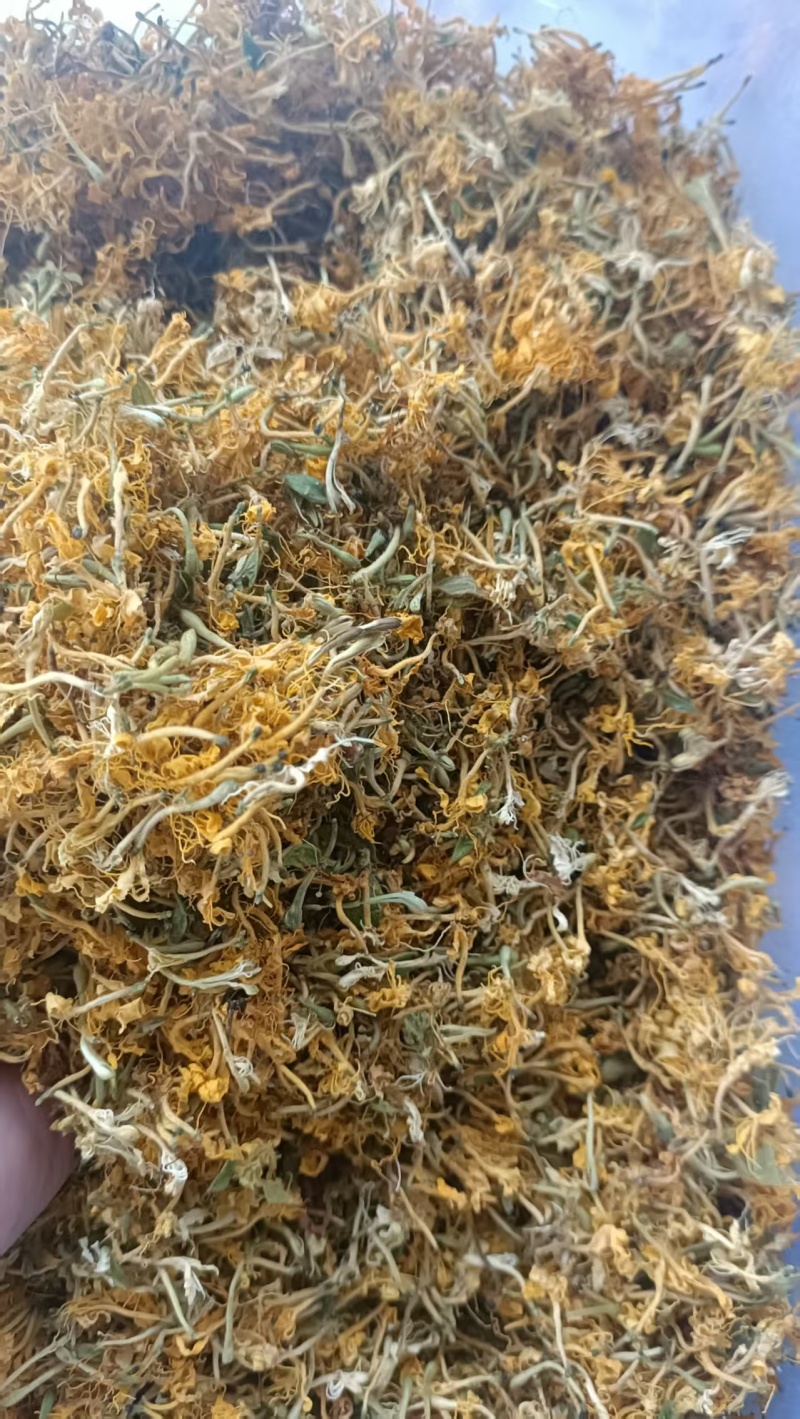 精品自然晒干金银花